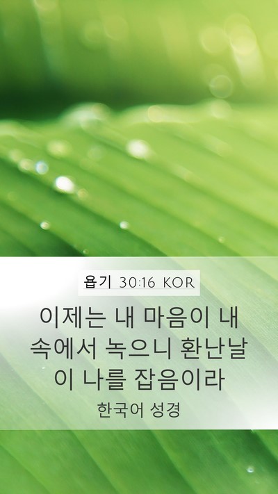 욥기 30:16 KOR Bible Verse Image