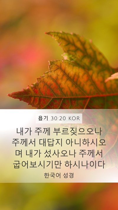 욥기 30:20 KOR Bible Verse Image
