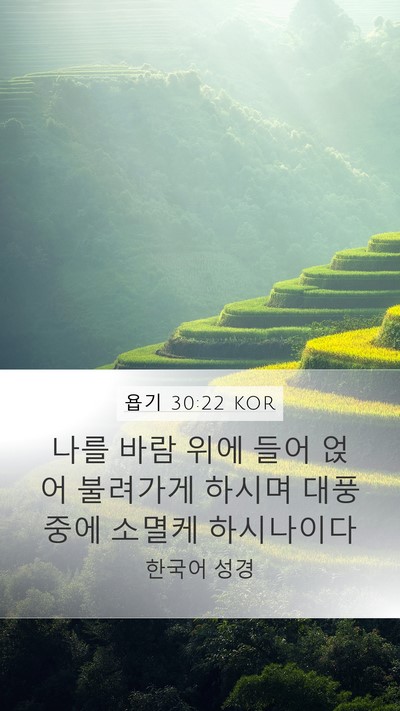 욥기 30:22 KOR Mobile Phone Wallpaper - 나를 바람 위에 들어 얹어 불려가게 - Mobile Bible Verse Wallpaper