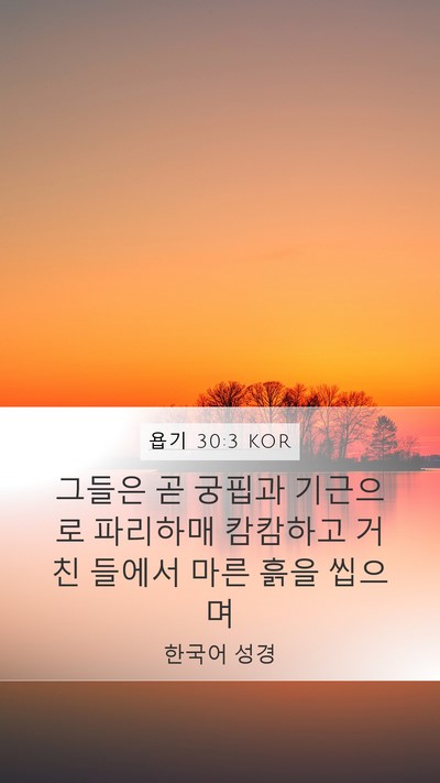 욥기 30:3 KOR Bible Verse Image