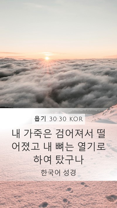 욥기 30:30 KOR Bible Verse Image