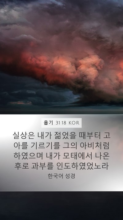 욥기 31:18 KOR Bible Verse Image