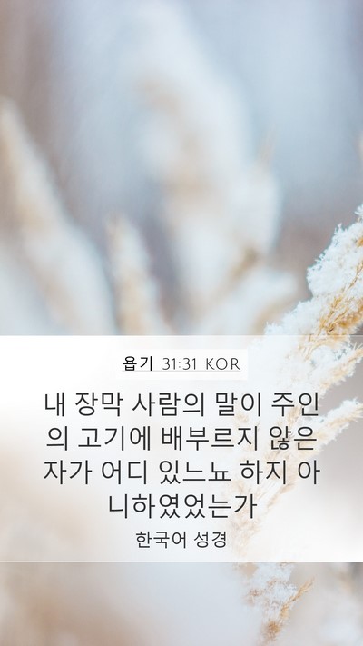 욥기 31:31 KOR Bible Verse Image