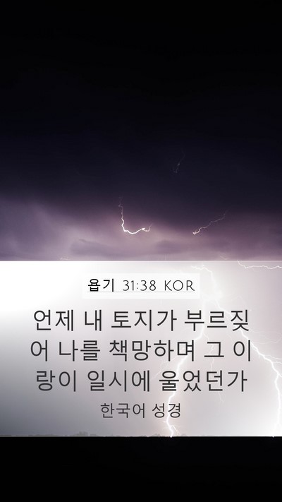 욥기 31:38 KOR Bible Verse Image