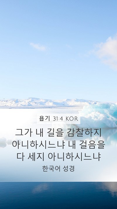욥기 31:4 KOR Bible Verse Image