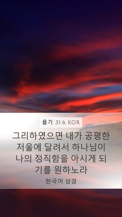 욥기 31:6 KOR Bible Verse Image