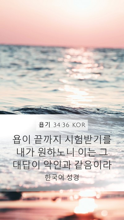 욥기 34:36 KOR Bible Verse Image