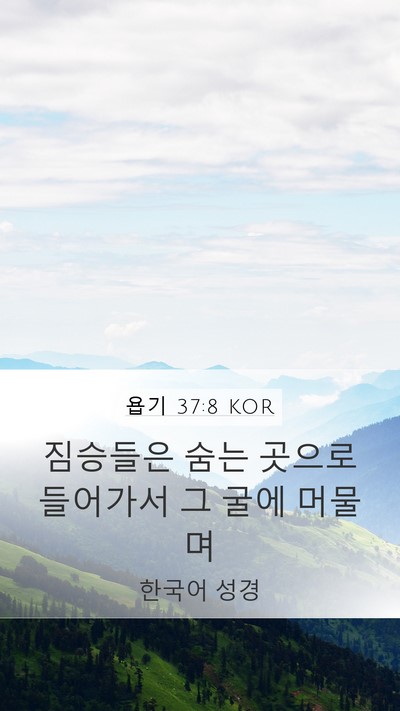 욥기 37:8 KOR Bible Verse Image