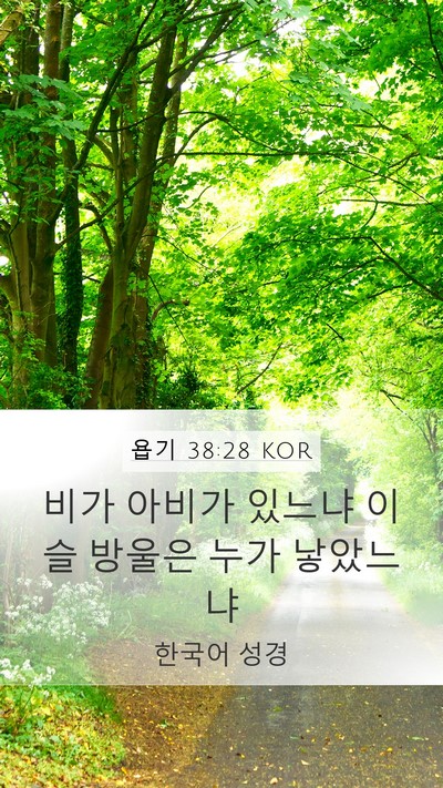 욥기 38:28 KOR Bible Verse Image