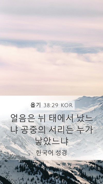 욥기 38:29 KOR Bible Verse Image