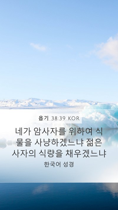 욥기 38:39 KOR Bible Verse Image