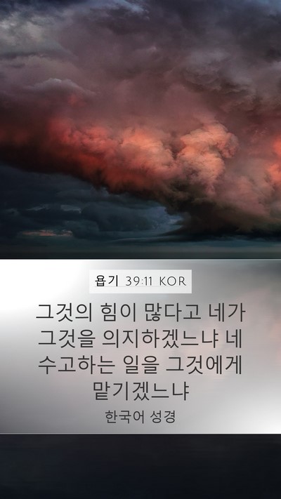 욥기 39:11 KOR Mobile Phone Wallpaper - 그것의 힘이 많다고 네가 그것을 - Mobile Bible Verse Wallpaper