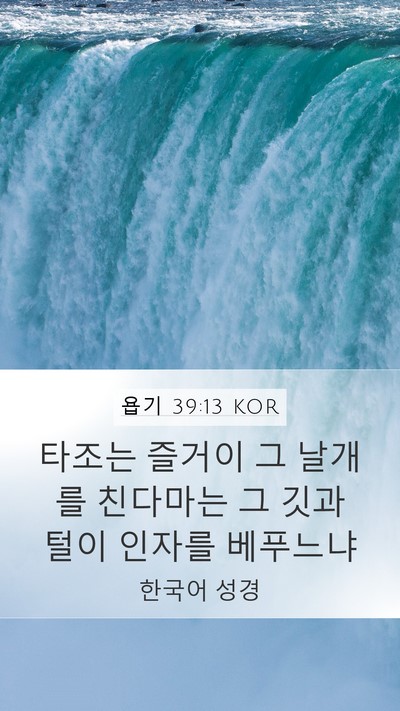 욥기 39:13 KOR Bible Verse Image