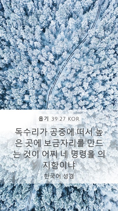 욥기 39:27 KOR Bible Verse Image
