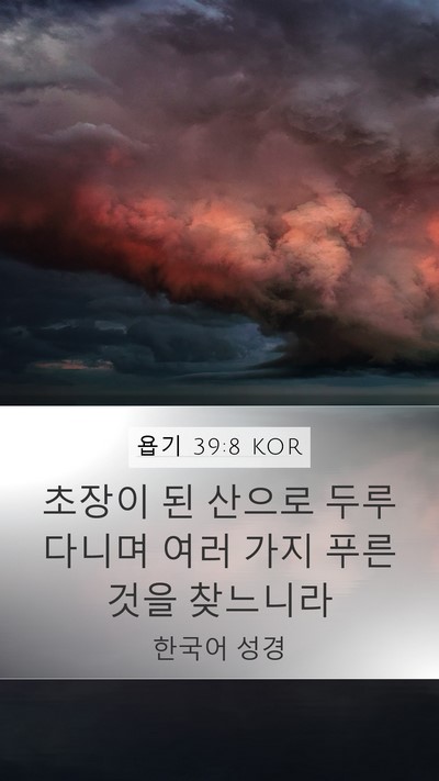 욥기 39:8 KOR Bible Verse Image