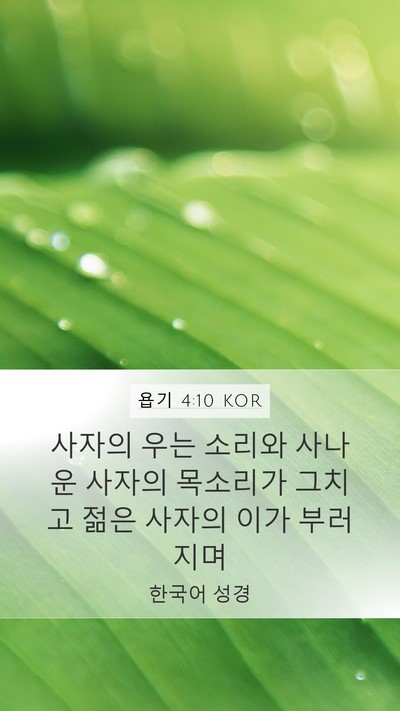 욥기 4:10 KOR Bible Verse Image