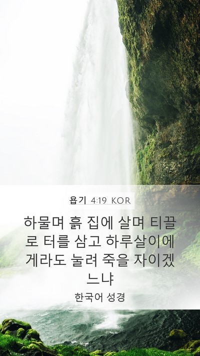 욥기 4:19 KOR Bible Verse Image