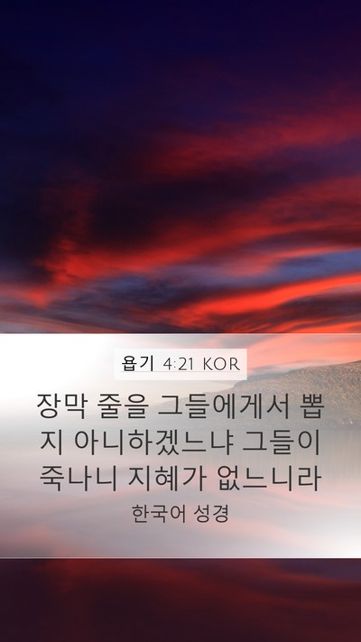 욥기 4:21 KOR Bible Verse Image