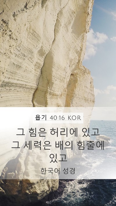 욥기 40:16 KOR Mobile Phone Wallpaper - 그 힘은 허리에 있고 그 세력은 배의 - Mobile Bible Verse Wallpaper