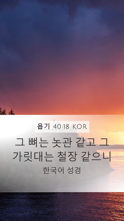 욥기 40:18 KOR Bible Verse Image