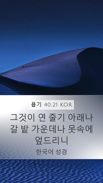욥기 40:21 KOR Bible Verse Image