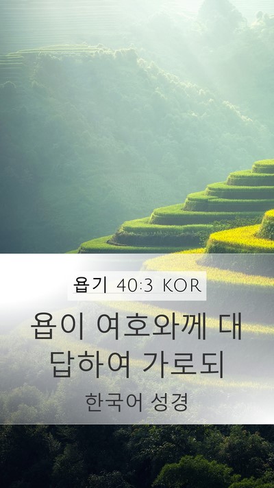 욥기 40:3 KOR Bible Verse Image