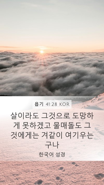 욥기 41:28 KOR Bible Verse Image