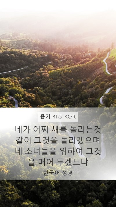 욥기 41:5 KOR Mobile Phone Wallpaper - 네가 어찌 새를 놀리는것 같이 - Mobile Bible Verse Wallpaper