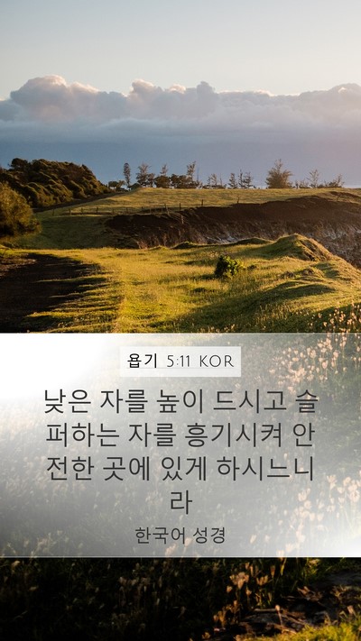 욥기 5:11 KOR Bible Verse Image