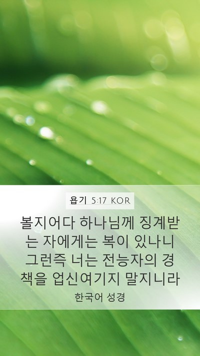 욥기 5:17 KOR Bible Verse Image