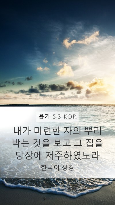 욥기 5:3 KOR Bible Verse Image
