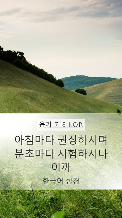 욥기 7:18 KOR Bible Verse Image