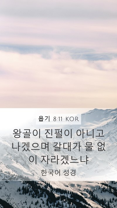 욥기 8:11 KOR Bible Verse Image