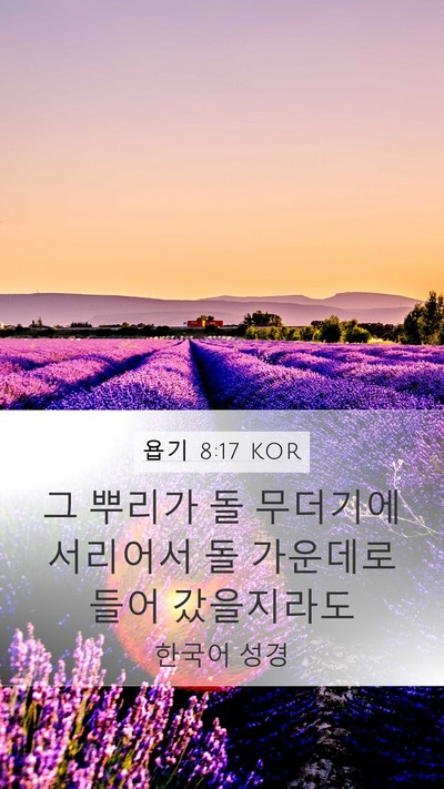 욥기 8:17 KOR Mobile Phone Wallpaper - 그 뿌리가 돌 무더기에 서리어서 돌 - Mobile Bible Verse Wallpaper