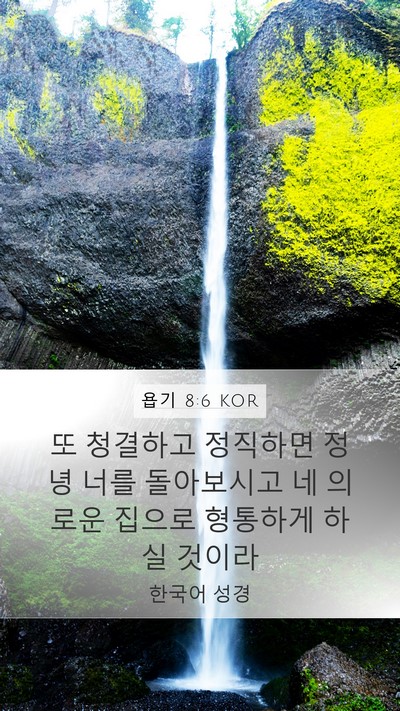 욥기 8:6 KOR Bible Verse Image