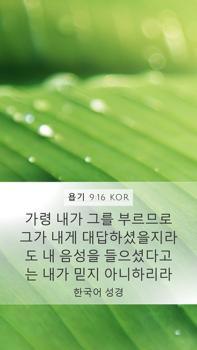 욥기 9:16 KOR Bible Verse Image