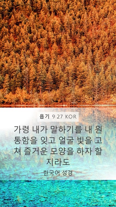 욥기 9:27 KOR Bible Verse Image