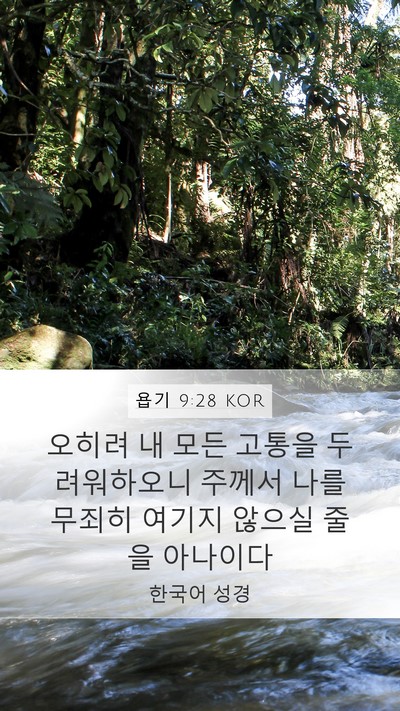 욥기 9:28 KOR Bible Verse Image
