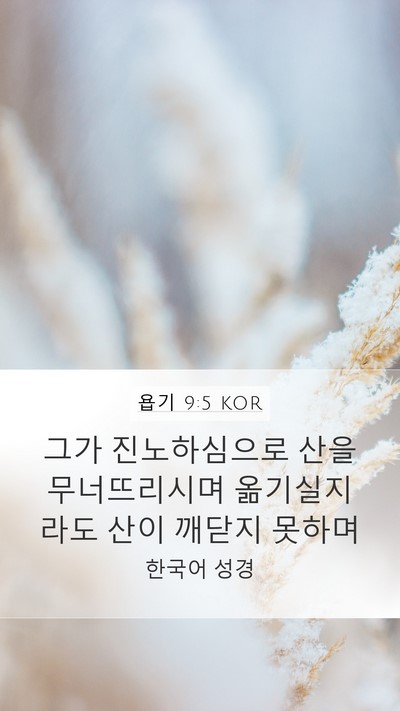 욥기 9:5 KOR Bible Verse Image