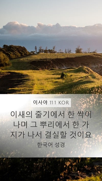 이사야 11:1 KOR Mobile Phone Wallpaper - 이새의 줄기에서 한 싹이 나며 그 - Mobile Bible Verse Wallpaper