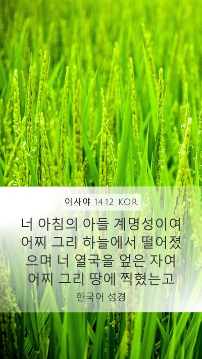이사야 14:12 KOR Bible Verse Image