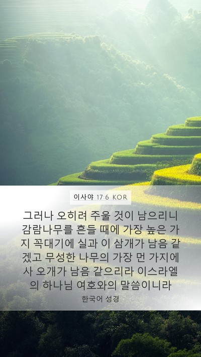 이사야 17:6 KOR Bible Verse Image