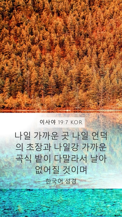 이사야 19:7 KOR Mobile Phone Wallpaper - 나일 가까운 곳 나일 언덕의 초장과 - Mobile Bible Verse Wallpaper