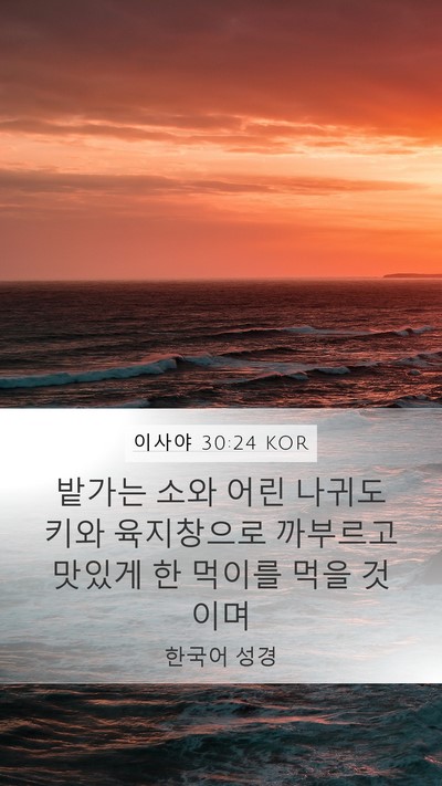 이사야 30:24 KOR Bible Verse Image
