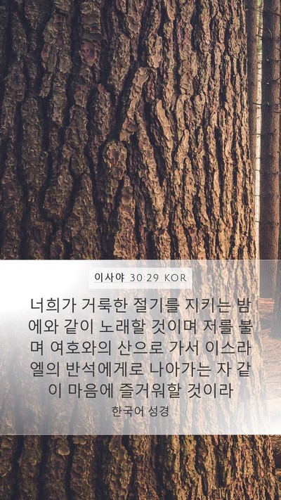 이사야 30:29 KOR Bible Verse Image