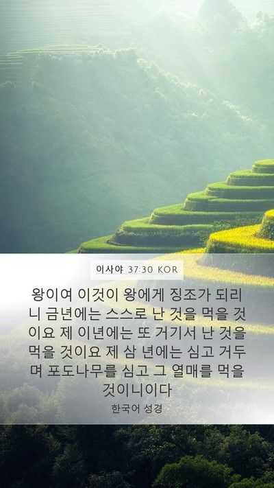 이사야 37:30 KOR Bible Verse Image