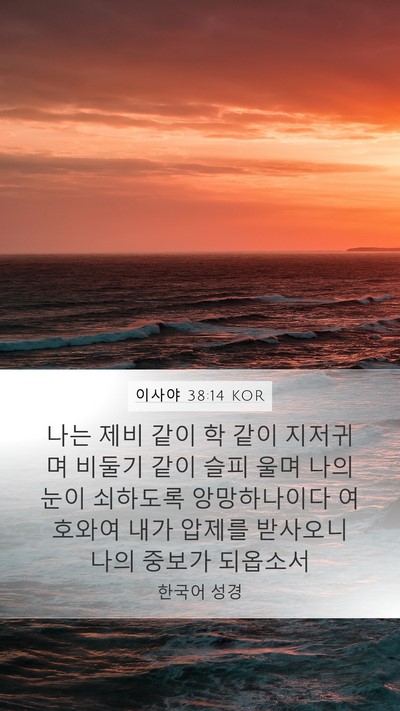 이사야 38:14 KOR Bible Verse Image