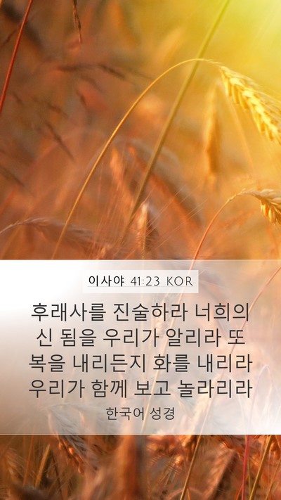 이사야 41:23 KOR Mobile Phone Wallpaper - 후래사를 진술하라 너희의 신 됨을 - Mobile Bible Verse Wallpaper