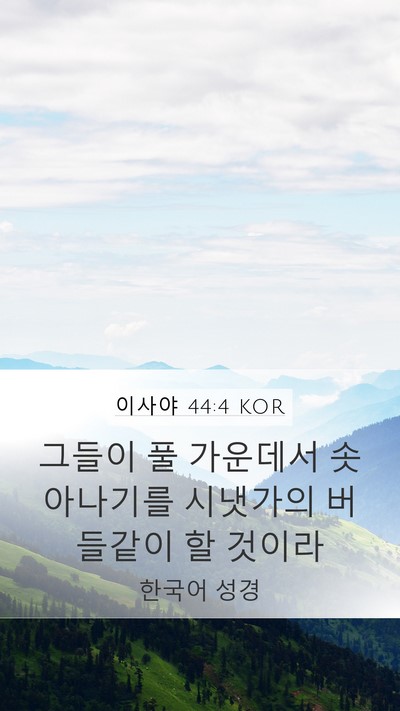이사야 44:4 KOR Bible Verse Image