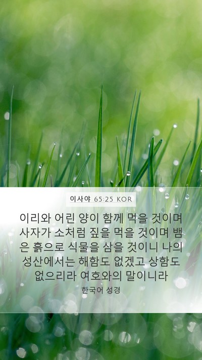 이사야 65:25 KOR Bible Verse Image